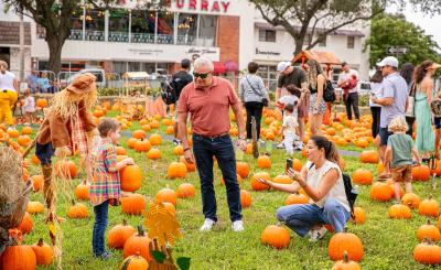 Pumpkin Patch